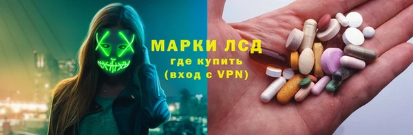 прущие грибы Вязники