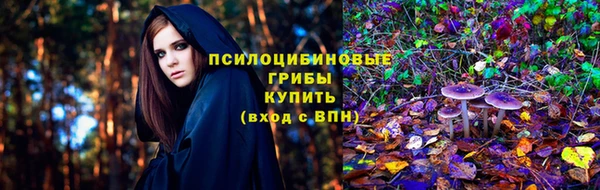 прущие грибы Вязники